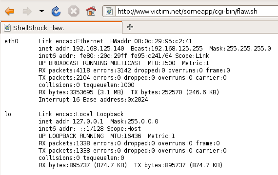 รูปที่ 24: การรันคำสั่ง “ifconfig” ซึ่งเป็นคำสั่งที่ใช้ในการดูการตั้งค่าของ Network Interface Card ที่อยู่กับเครื่องคอมพิวเตอร์ ผ่าน CGI