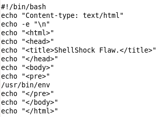 รูปที่ 26: เพิ่มบรรทัด “/usr/bin/env” เพื่อเรียกดู Environment Variable ที่ Web Server ใช้งานอยู่