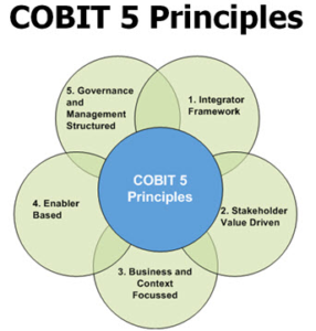 รูปที่ 18 : COBIT 5 Principles