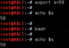 รูปที่ 18: การตั้งค่า Environment Variable ผ่านคำสั่ง “export”