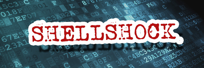 ShellShock-688x230